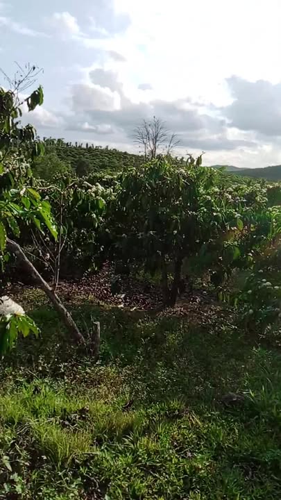 Đất nền Tân Thành Krông Nô 1.4ha 2.85 tỷ - Tiềm năng tăng giá