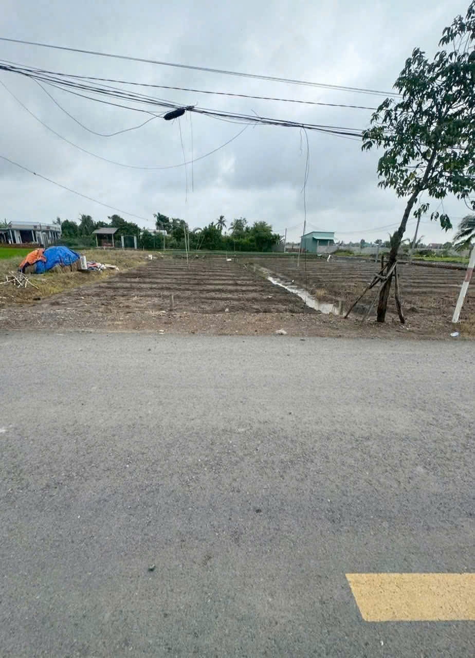 Đất thổ cư mặt tiền 214m² đường nhựa 9m - Long Hòa, Cần Đước, Long An - Giá 1.9 tỷ