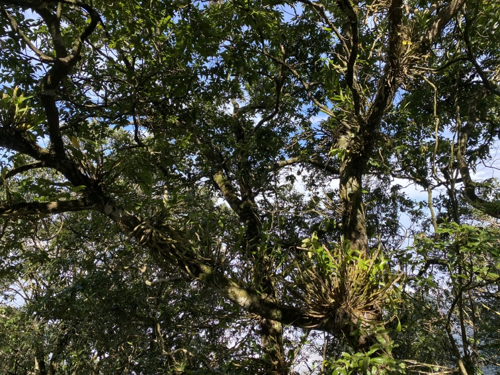 Nhà Mặt Tiền Rộng 8.5m Quan Nhân, Thanh Xuân - 58m² - 8.2 Tỷ