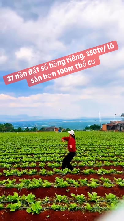 Đất nền Đức Trọng Lâm Đồng từ 350 triệu - Sổ hồng sẵn sàng!