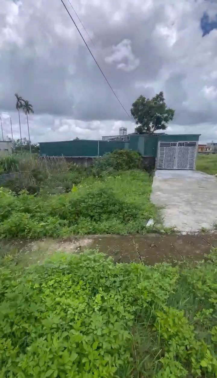 Đất nền Khu phố 5A Quang Trung 91m² 1,5 tỷ - Đường to ô tô