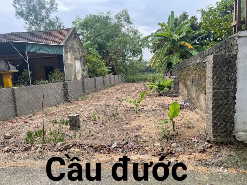 Đất Nền Mặt Sông Cầu Đước – 194.4m² – Hướng Đông Bắc – Sổ Hồng