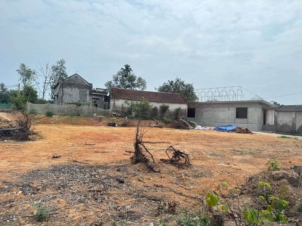 Bán Đất Vàng Phổ Yên 1400m² - Mặt Bằng Đẹp, Sẵn Xây Kho/Nhà Vườn