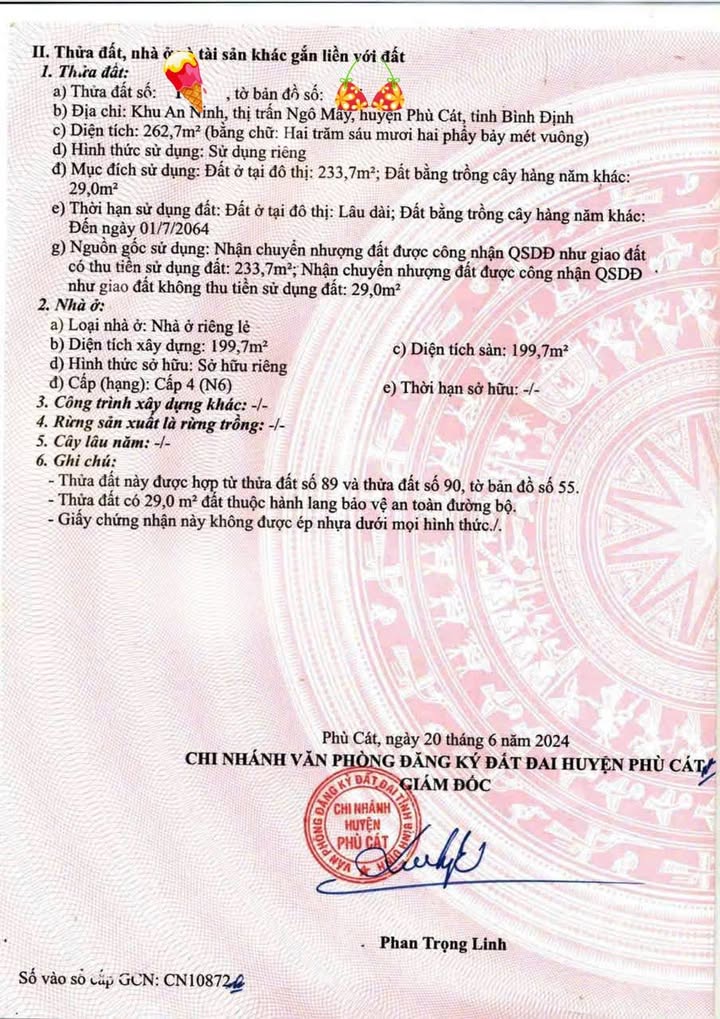 Mặt Tiền Quang Trung, Phù Cát - 262m² - Kinh Doanh Đắc Lợi