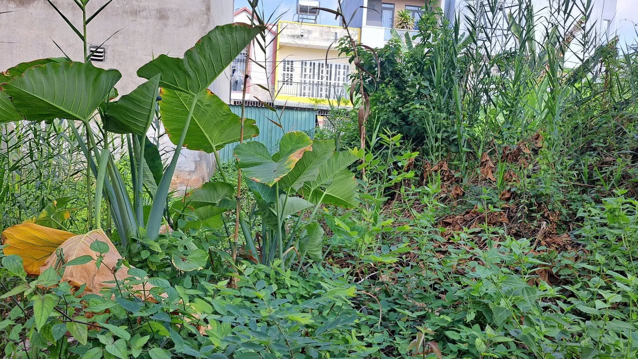 Không thể hoàn tất bài đăng - cần tiện ích