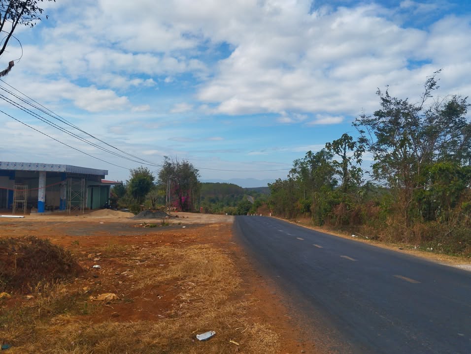 Đất Nền Tỉnh lộ 663 Gia Lai 4800m² - Sổ đỏ chính chủ