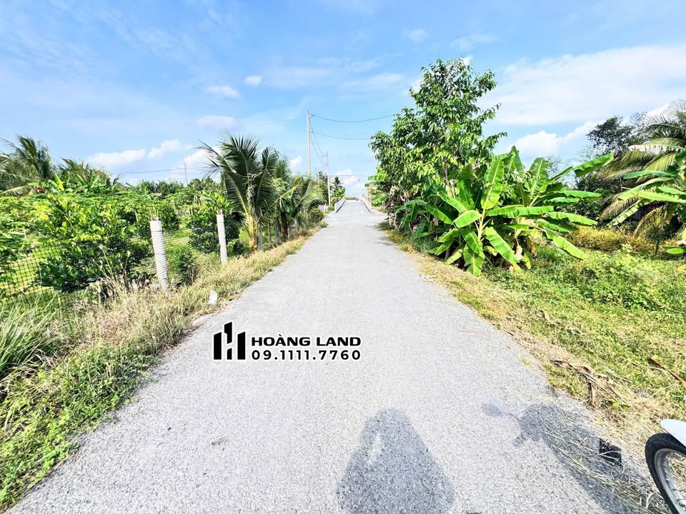 Đất Nền Vĩnh Long 75m² - Sổ Thổ Cư 60m² - Giá Chỉ 239 Triệu