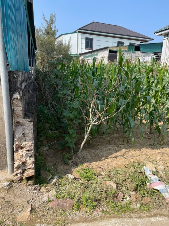 Đất nền Khánh Hợp Nghi Lộc 90m² - Tiềm năng tăng giá vượt trội!