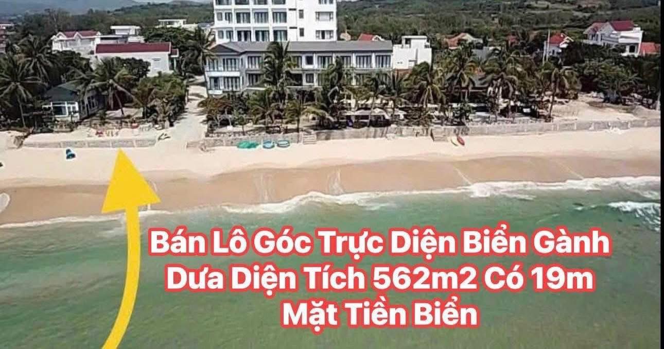Đất nền An Mỹ Tuy An 562m² 2 tỷ - Đất thổ cư 100%