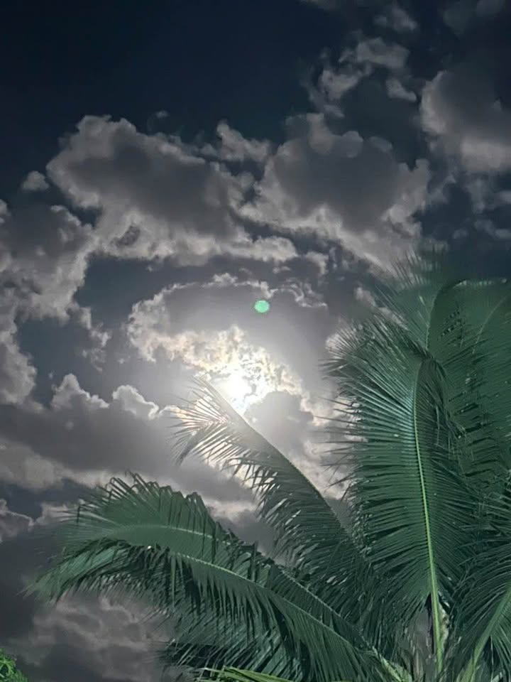 Bán Gấp Vườn Mít 3000m² Long Khánh, Đồng Nai - Mặt Tiền Đường 100m