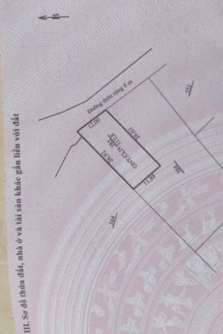 Đất Nền Quảng Bình 312m² - Đường Thanh Niên, Giá Chỉ 9xx Triệu