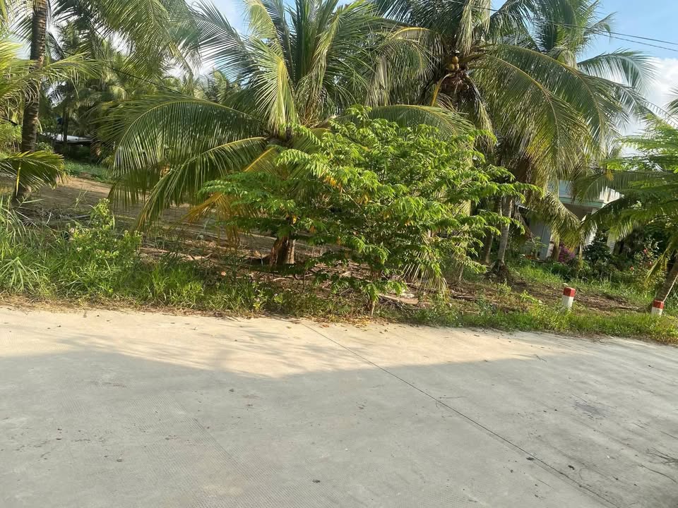 Đất Nền An Ngãi Tây, Ba Tri, Bến Tre - 1360m² Sẵn Sổ Hồng, Giá Tốt