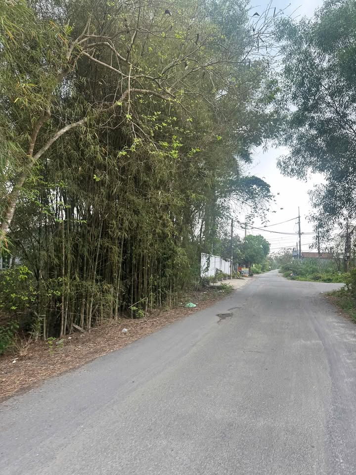 Đất nền Hồ Thị Bưng Củ Chi 2.100m² giá 35.7 tỷ - Pháp lý rõ ràng