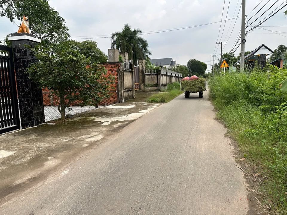 Đất vườn Thái Mỹ Củ Chi 544m² 2.15 tỷ - Sổ hồng rõ ràng