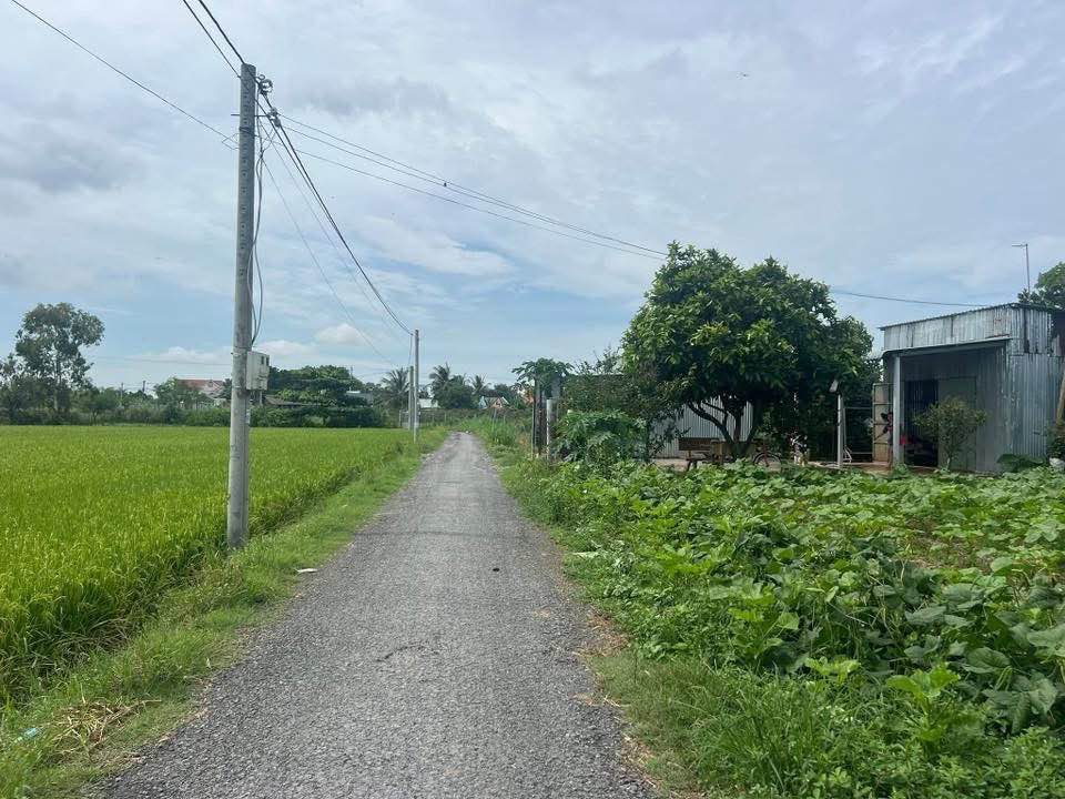 Đất Nền Gò Công Đông 850m² (17x50m) Giá 1.3 Tỷ - Sổ Đỏ Sẵn