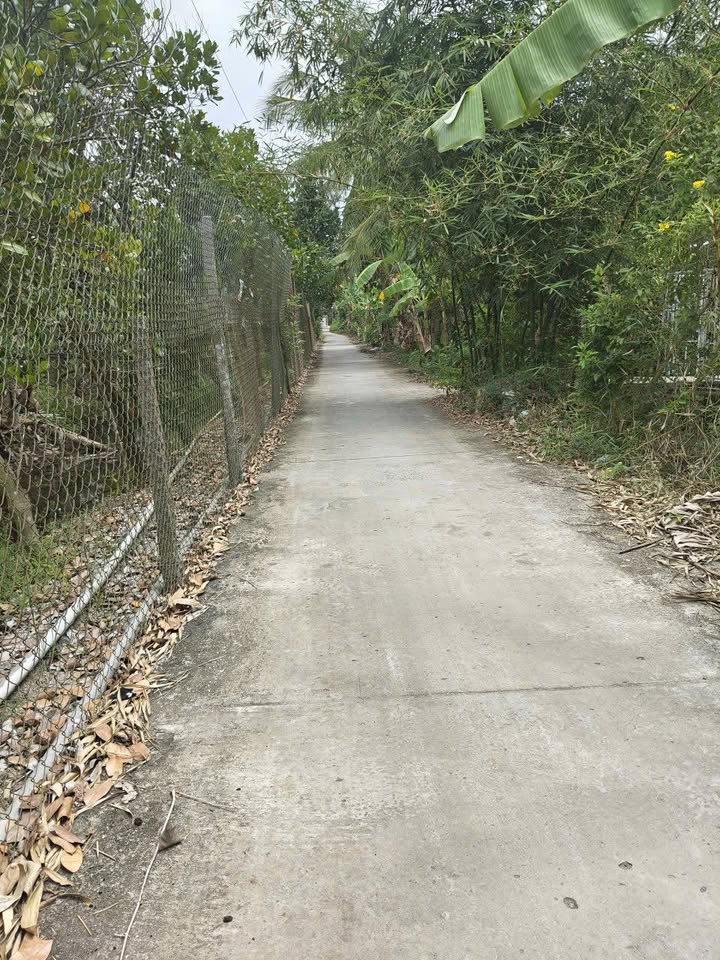 Đất nền Cai Lậy 115m2 450 triệu - Sổ đỏ chính chủ