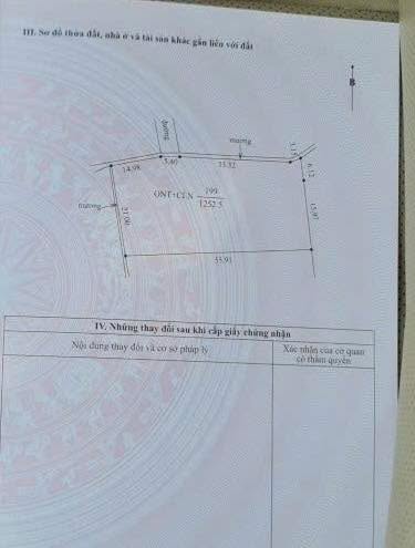 Đất Nền Lục Nam 1250m² - Sổ Đỏ Rõ Ràng, Đường To Ô Tô