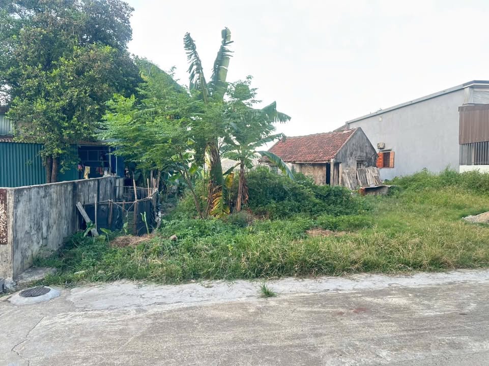 Đất nền Kỳ Anh 264m² giá 2 tỷ - Tiềm năng tăng giá vượt trội!