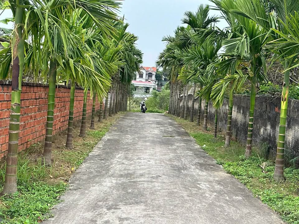 Đất nền Đông Triều 262m² giá 9xx triệu - Sổ đỏ chính chủ!