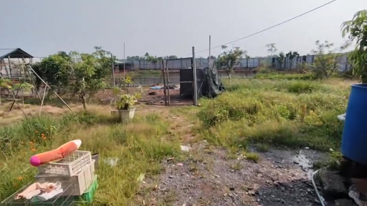 Cho thuê vườn làm quán nhậu Củ Chi - 3 triệu/tháng, tặng 6 tháng mặt bằng