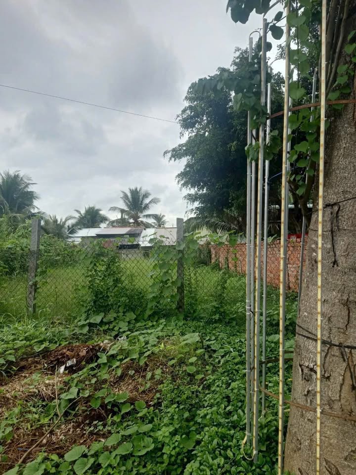 Bán Đất Mặt Tiền Hùng Vương, Sa Đéc - 208m² Full Thổ Cư, Sẵn Sàng Xây Dựng