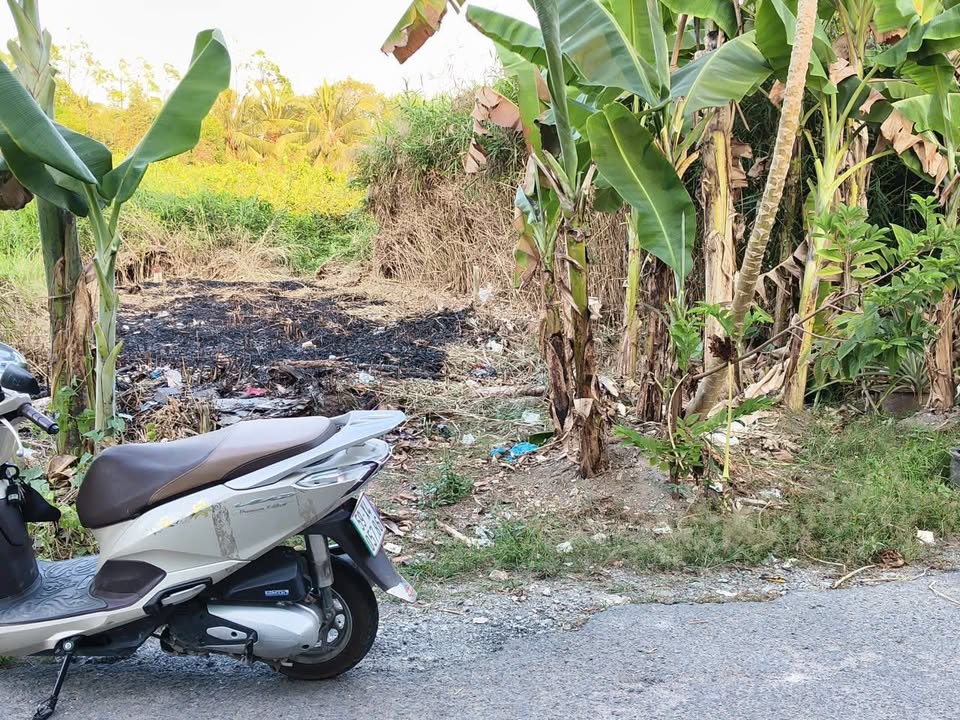 Đất nền Thủ Đức 117m² - Giá tốt hiếm có, sổ đỏ sẵn!