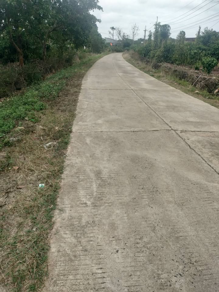 Đất vườn 2500m² Tuy Đức - Tiềm năng đầu tư dài hạn!