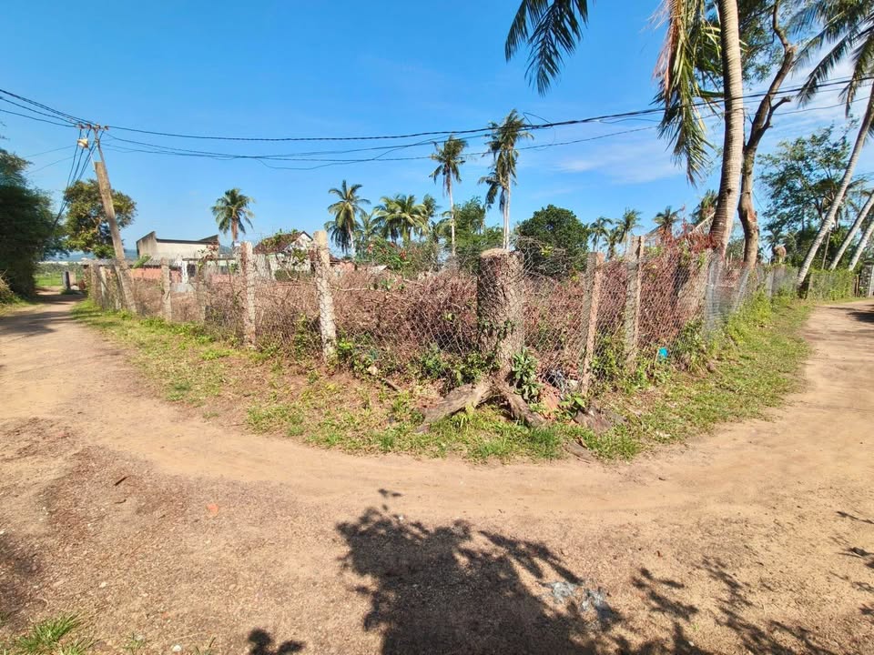 Đất nền 290m² thổ cư, mặt tiền 10m tại Phù Mỹ, Bình Định - Giá đầu tư chỉ 179 triệu