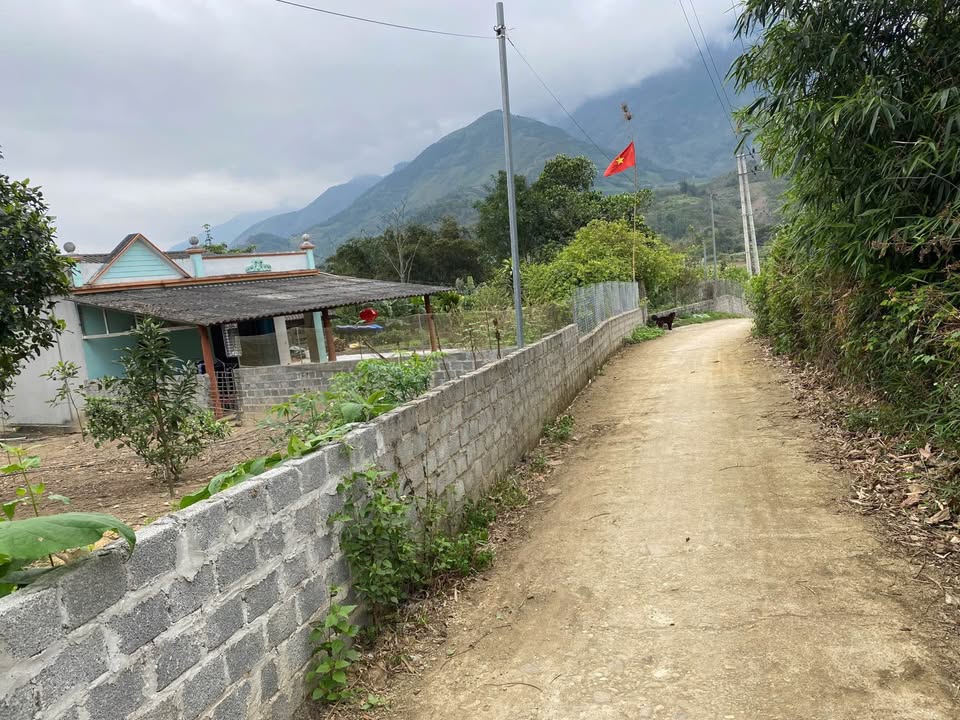 Trang trại lợn mini Văn Chấn 1.1ha - Vốn đầu tư hấp dẫn 1.8 tỷ