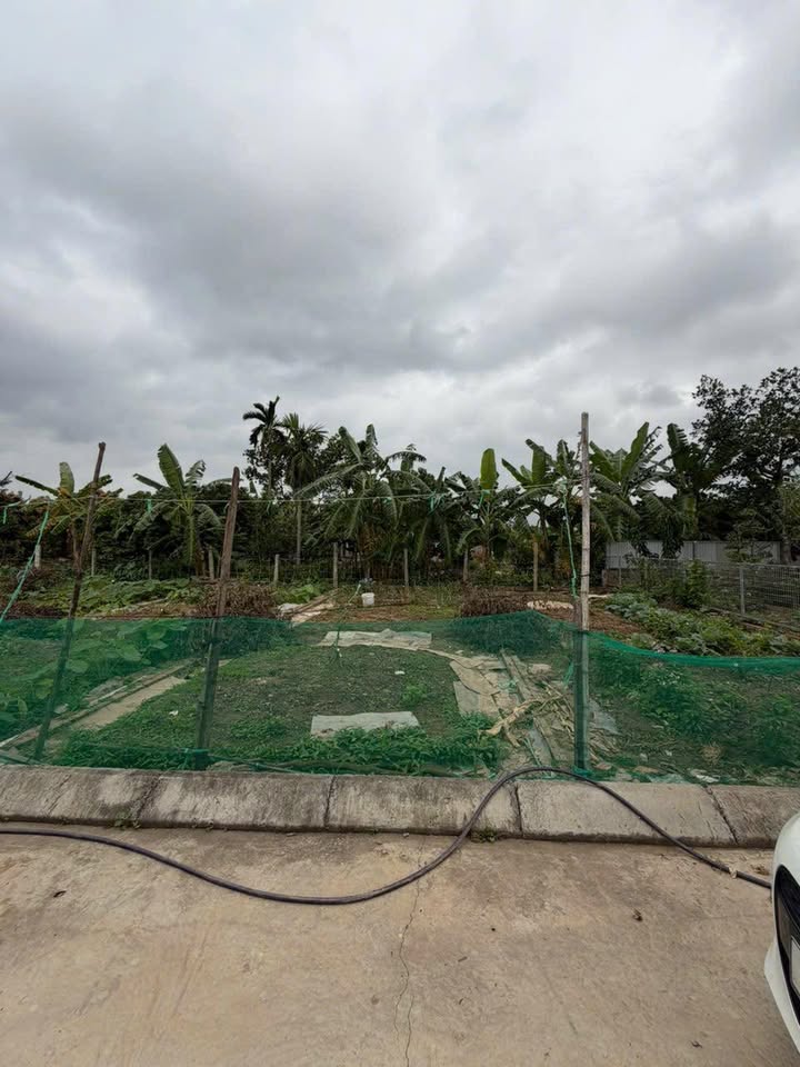 Đất nền An Trường, An Lão 65m² - Sổ đỏ chính chủ, dưới 500 triệu