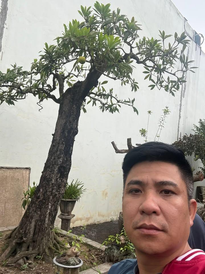 Đất Mặt Đường Thôn Tân Minh, Tiên Lãng 100m² - Giá Chỉ Hơn 1 Tỷ