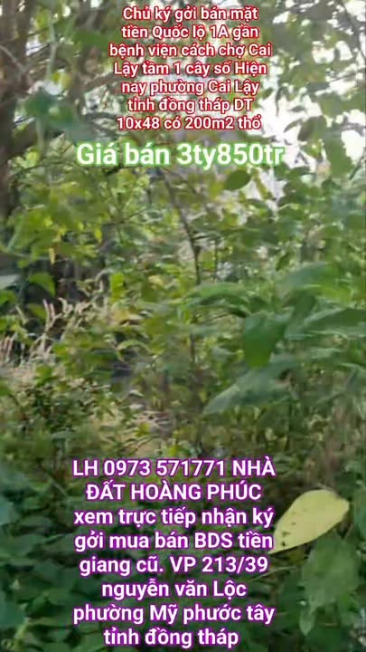 Đất Mặt Tiền QL1A Cai Lậy, Tiền Giang - 200m² Thổ Cư - 3.85 Tỷ TL