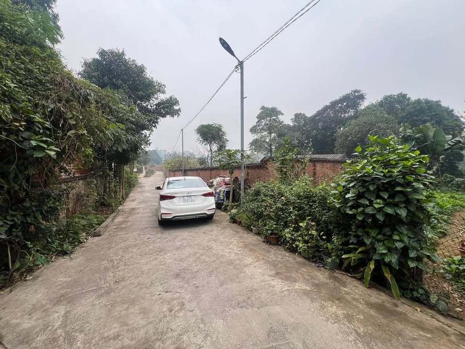 Đất nền Việt Trì 289m² - Sổ đỏ chính chủ, đường bê tông thông thoáng