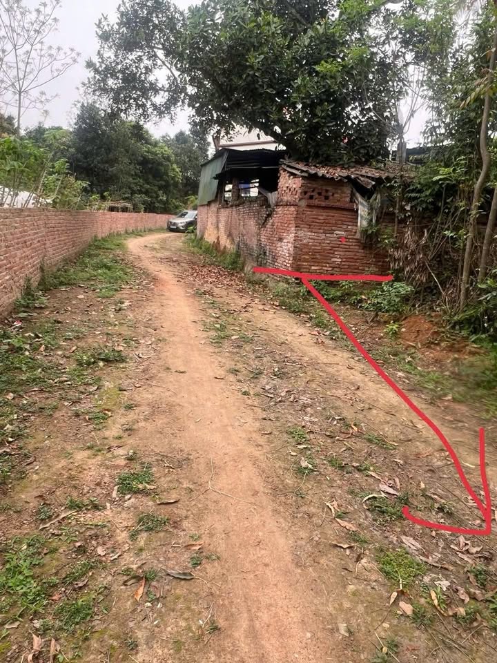 Đất vườn Việt Trì 1652m² - Nghỉ dưỡng lý tưởng!