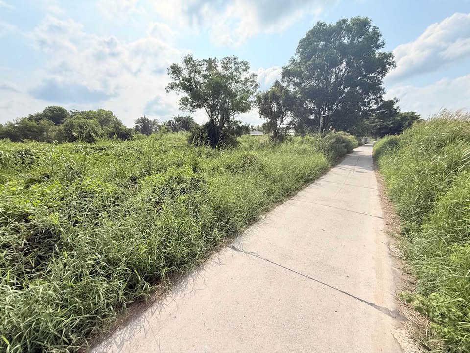 Đất vườn An Xuyên, Cà Mau 2800m² - Đất thổ cư 100%!