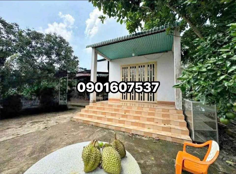 Nhà vườn Thủ Dầu Một 1000m² - Sổ thổ cư, đầu tư sinh lời!