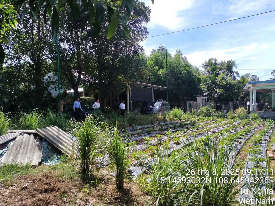 Đất thổ cư Nghĩa Lâm, Quảng Ngãi 126m² - Sẵn sổ, ô tô vào tận nơi