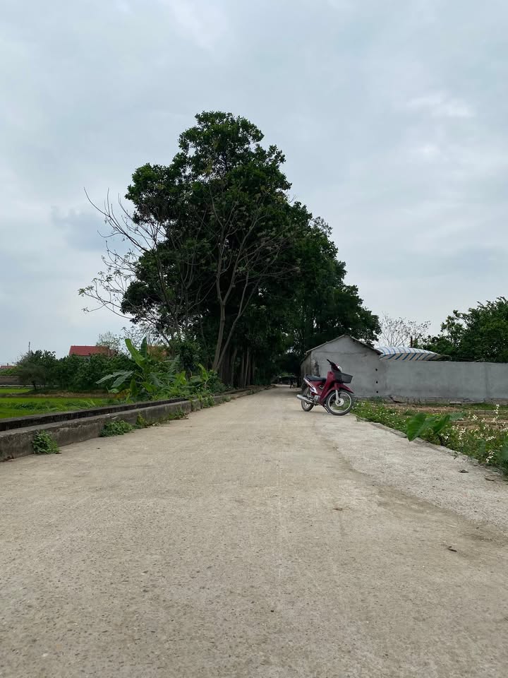 Bắc Giang: Đất nền 100m² trục thông, gần chợ - Giá chỉ hơn 800 triệu