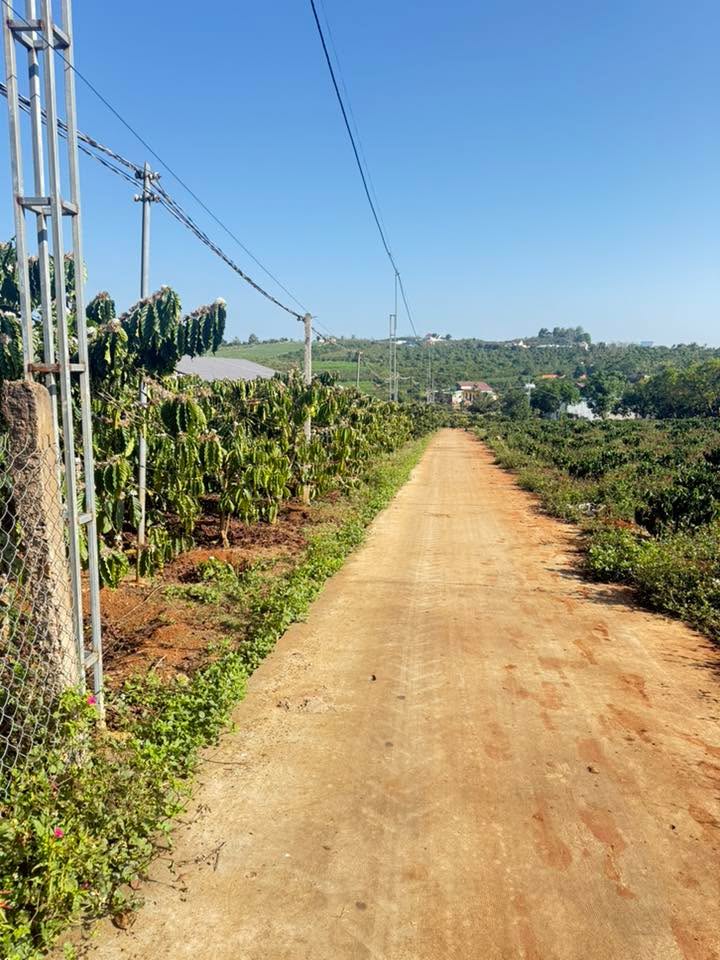 Đất nền Thị trấn Đinh Văn Lâm Hà 3000m² - Sổ đỏ chính chủ!