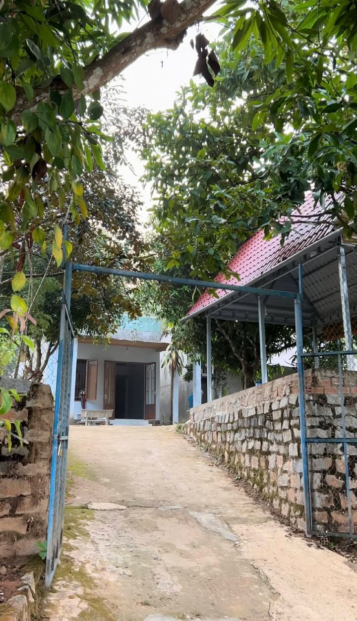 Đất nền Bà Gia Đạ Huoai 400m² 650tr - Sổ đỏ chính chủ