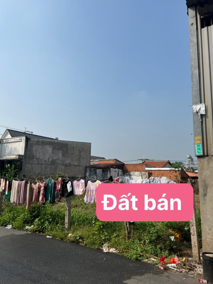 Đất Mặt Tiền Đường Nhựa Hòa Lợi - 174m² - Sổ Thổ Cư - Giá 2.x Tỷ