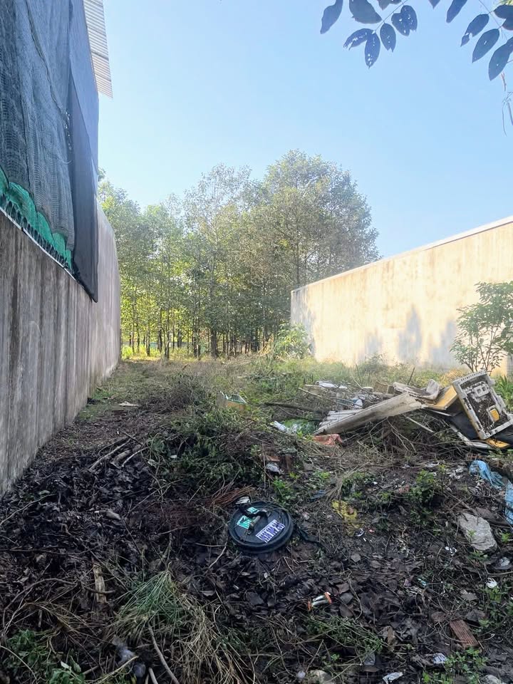 Đất nền Đường NA8, Mỹ Phước 2 300m² giá 4 tỷ - Sổ đỏ chính chủ!