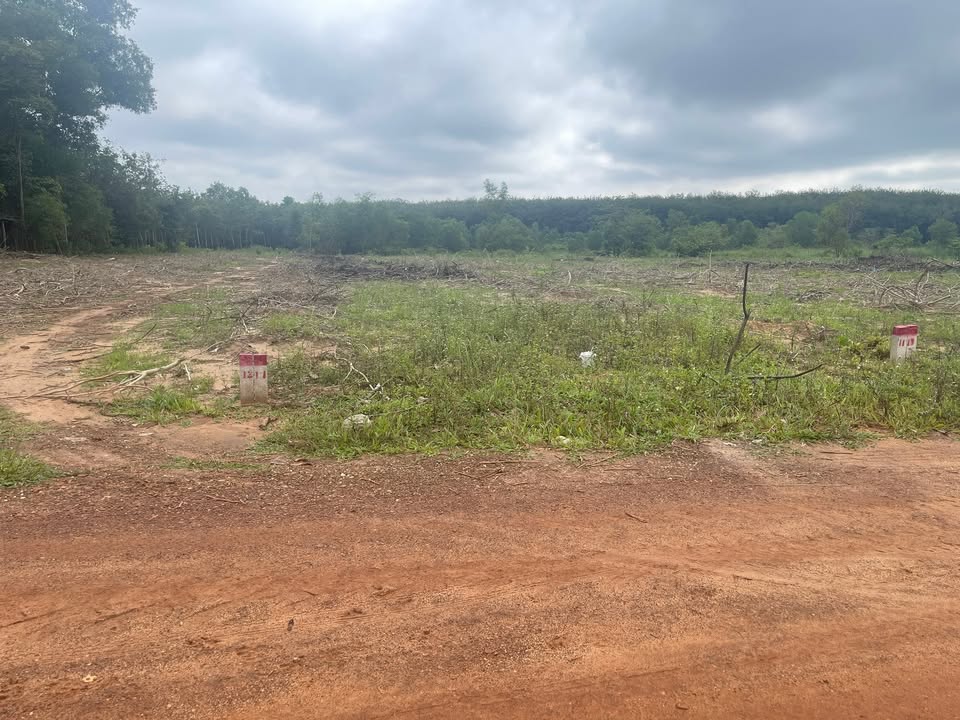 Đất nền Tân Uyên 250m² - Sổ đỏ, thổ cư 100%, tiềm năng tăng giá!