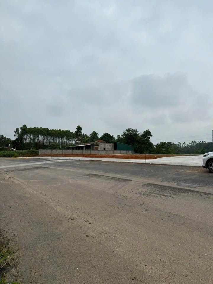 Đất nền K4 Phú Lộc, Phù Ninh 100m² - Mặt đường nhựa rộng, tiềm năng đầu tư