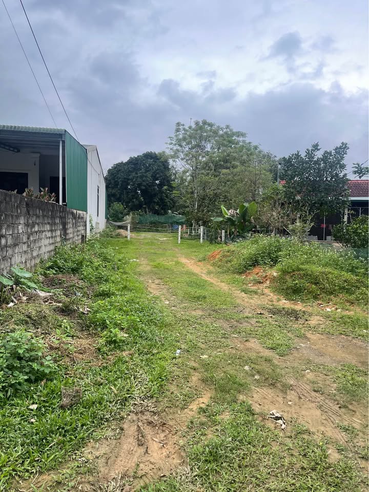 Đất nền Thị trấn Phú Phong 154m² - Sổ đỏ chính chủ!