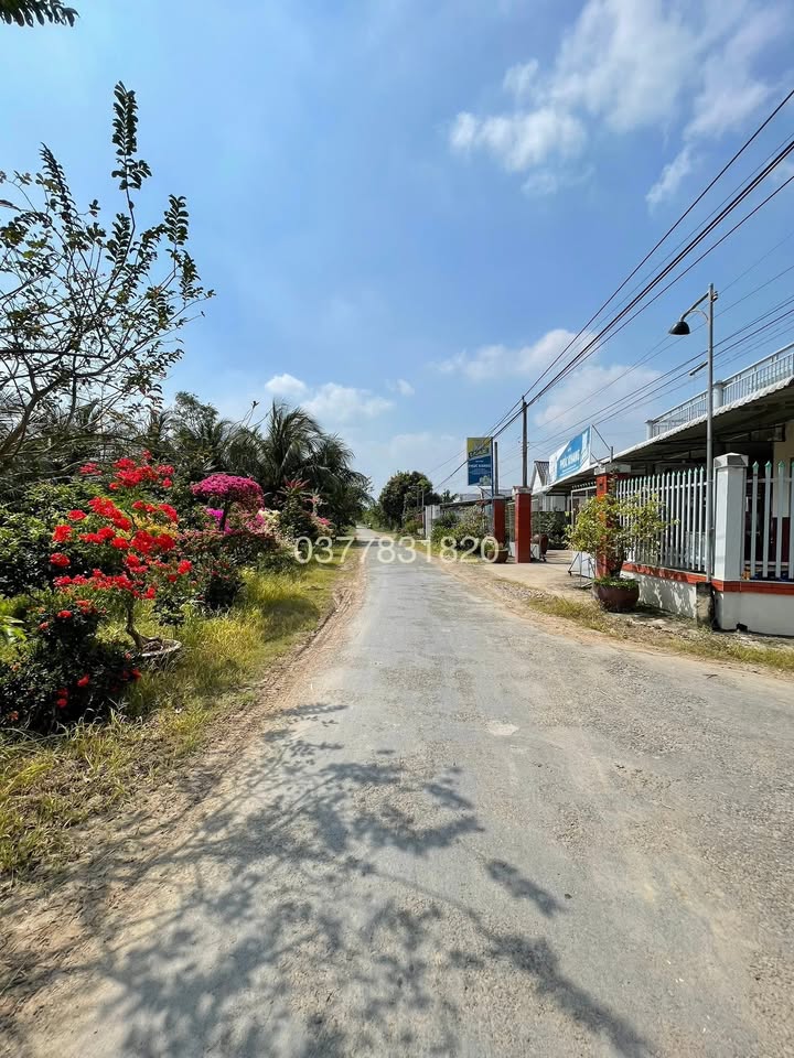 Đất lúa Lương Hòa A, Châu Thành 3487m² - Tiềm năng tăng giá vượt trội!