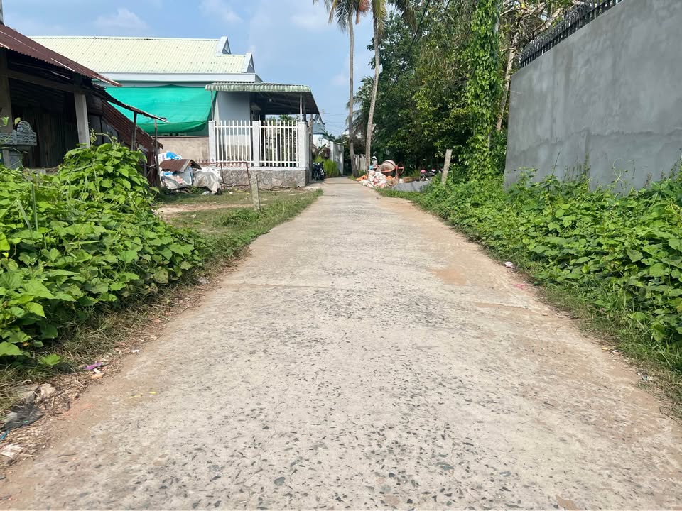 Đất nền Tân Ngãi 150m² giá 550 triệu - Sổ đỏ chính chủ