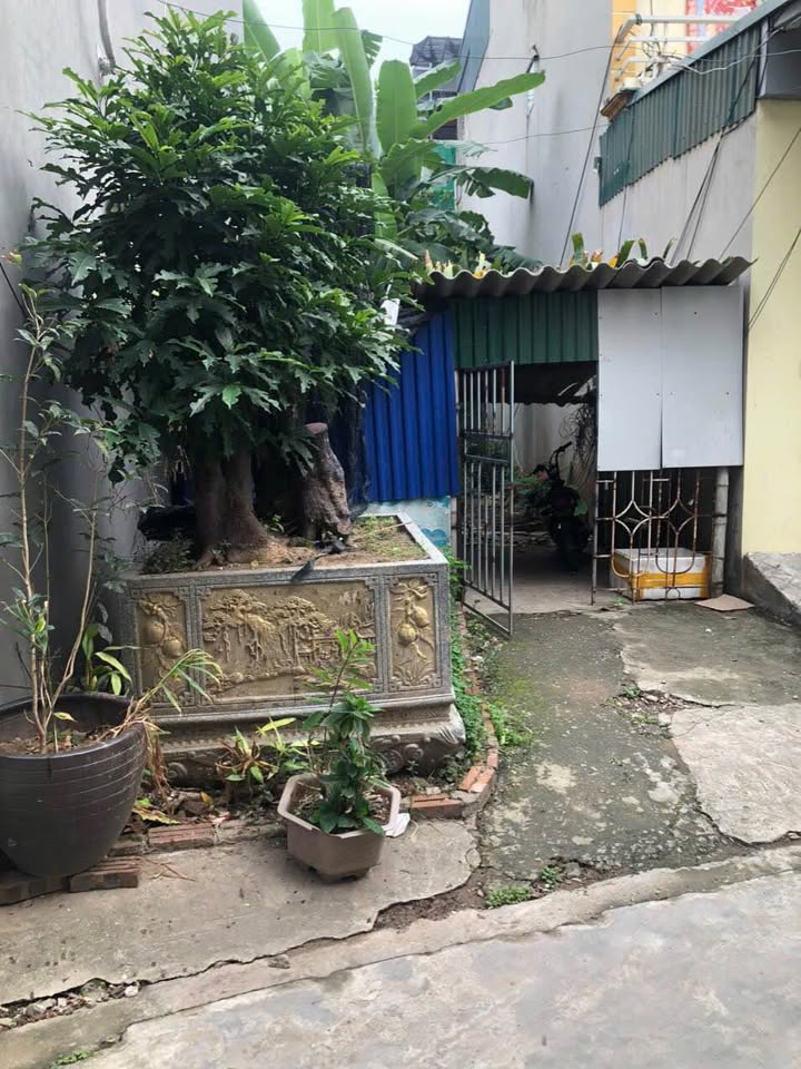 Đất Ngõ Lê Viết Quang 85m² 1.8 tỷ - Sổ đỏ chính chủ