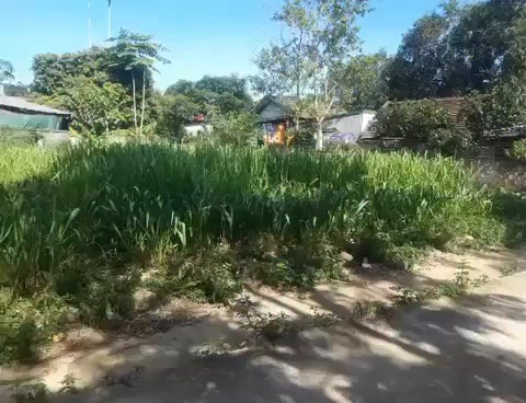 Đất nền Thái Hòa 173m² thỏa thuận - Sổ đỏ chính chủ