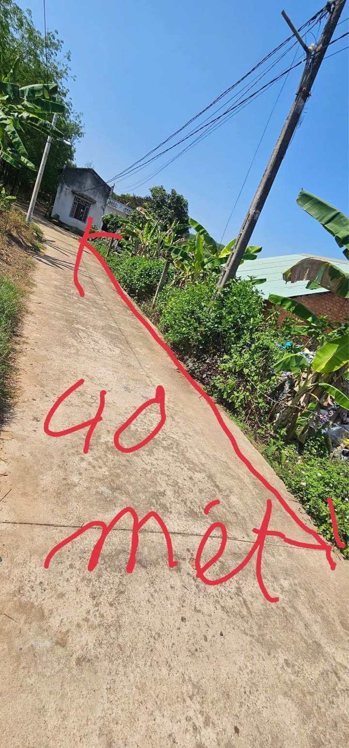 Đất Vườn Đồng Xoài 2000m² - Sổ Đỏ, Giá Tốt 1.8 Tỷ